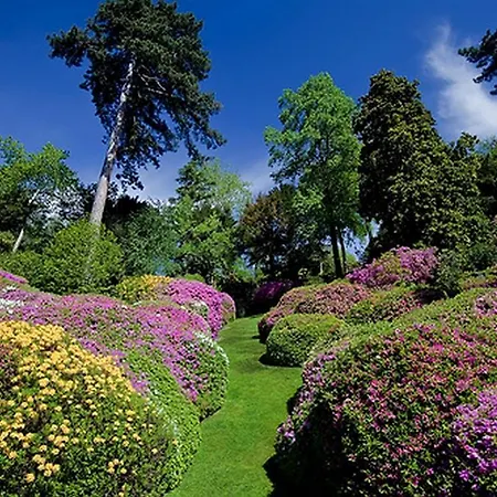 Belvedere Тремеццо